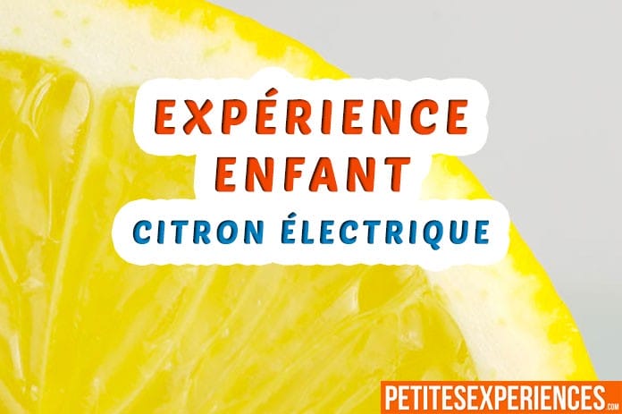 expérience citron électrique